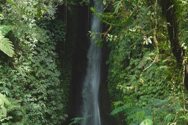 Cascades de Karfiguéla