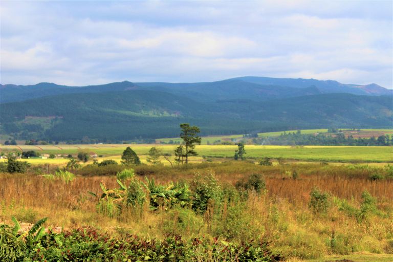 Mlilwane Wildlife Sanctuary
