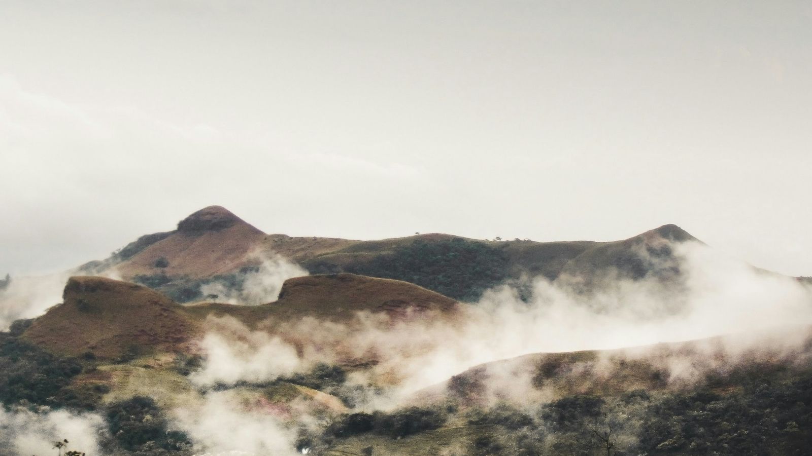 Ricardo Morales on Unsplash