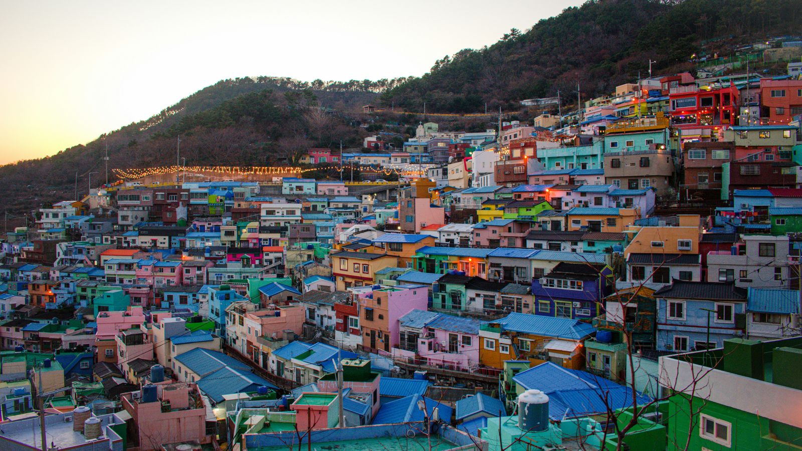 Luke Ow on Unsplash