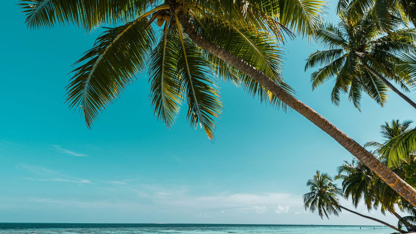 Simon Spring on Unsplash