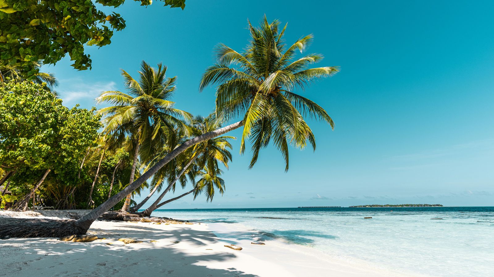 Simon Spring on Unsplash