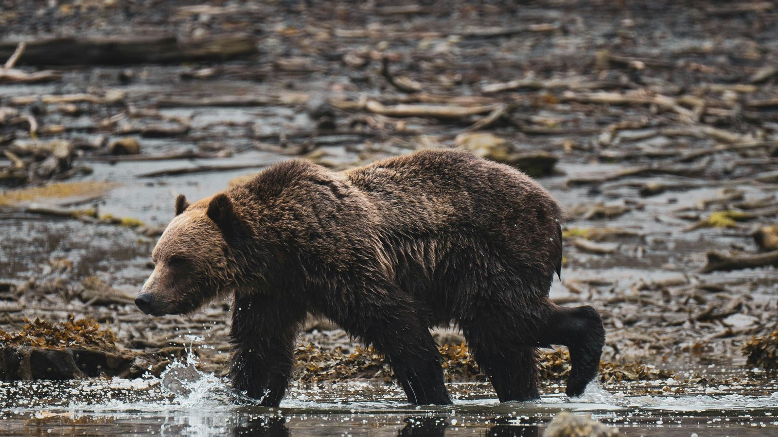 Karl Paul Baldacchino on Unsplash