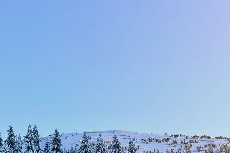 Kopaonik