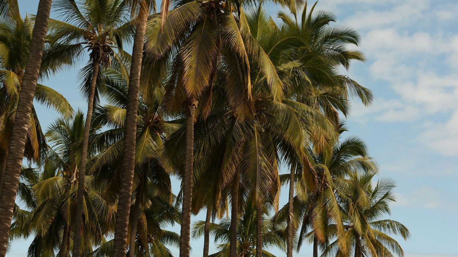 Laury Ricquebourg on Unsplash