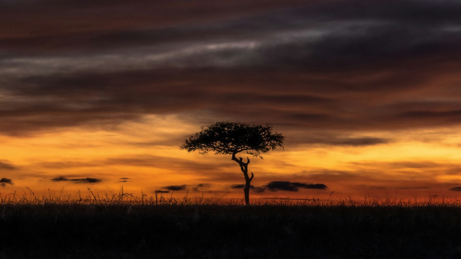 Michael Starkie on Unsplash