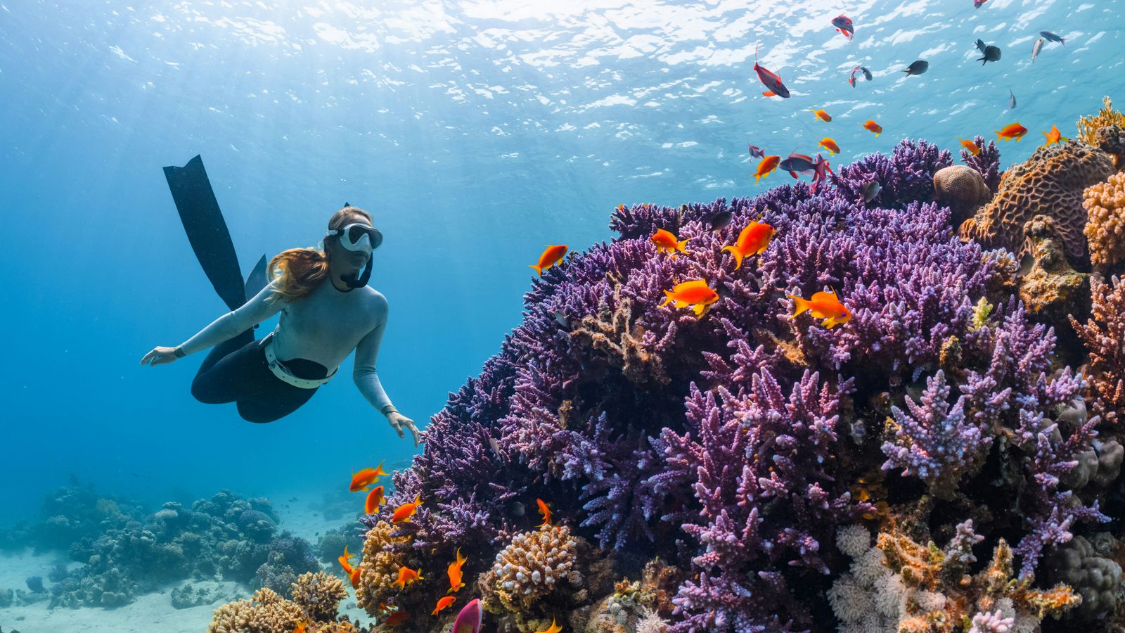 NEOM on Unsplash