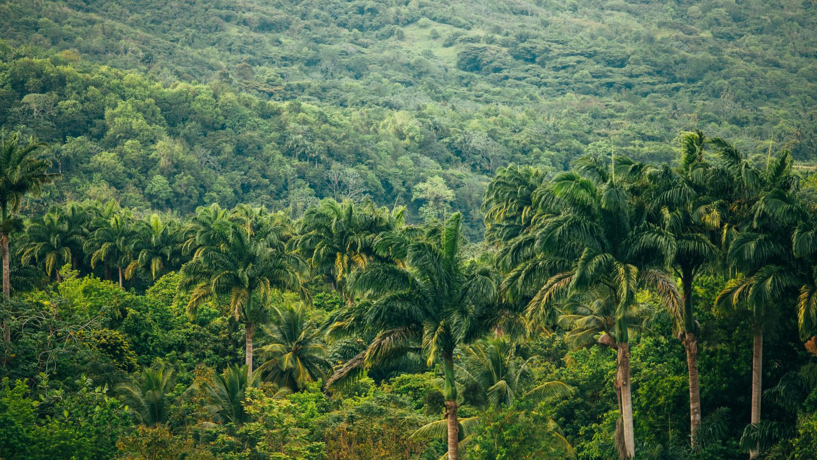 Levi Arnold on Unsplash
