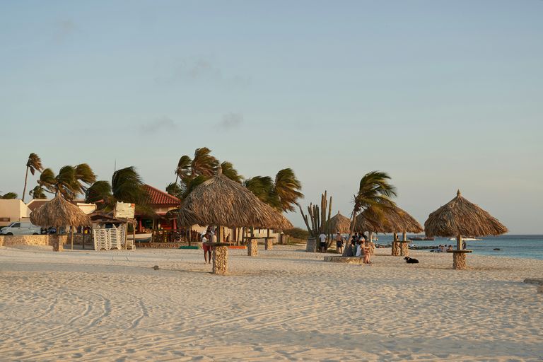 Palm Beach