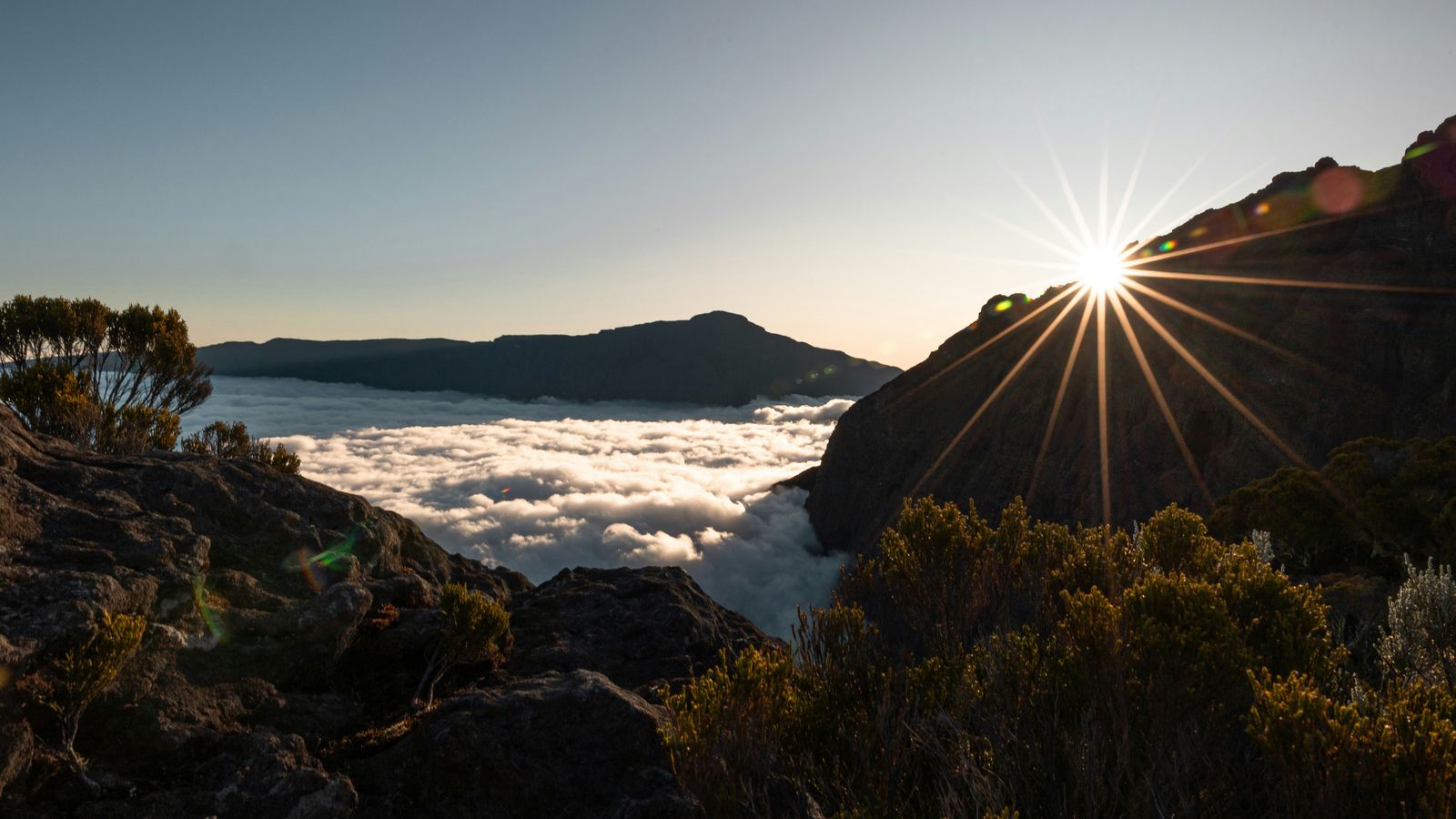Louis Paulin on Unsplash