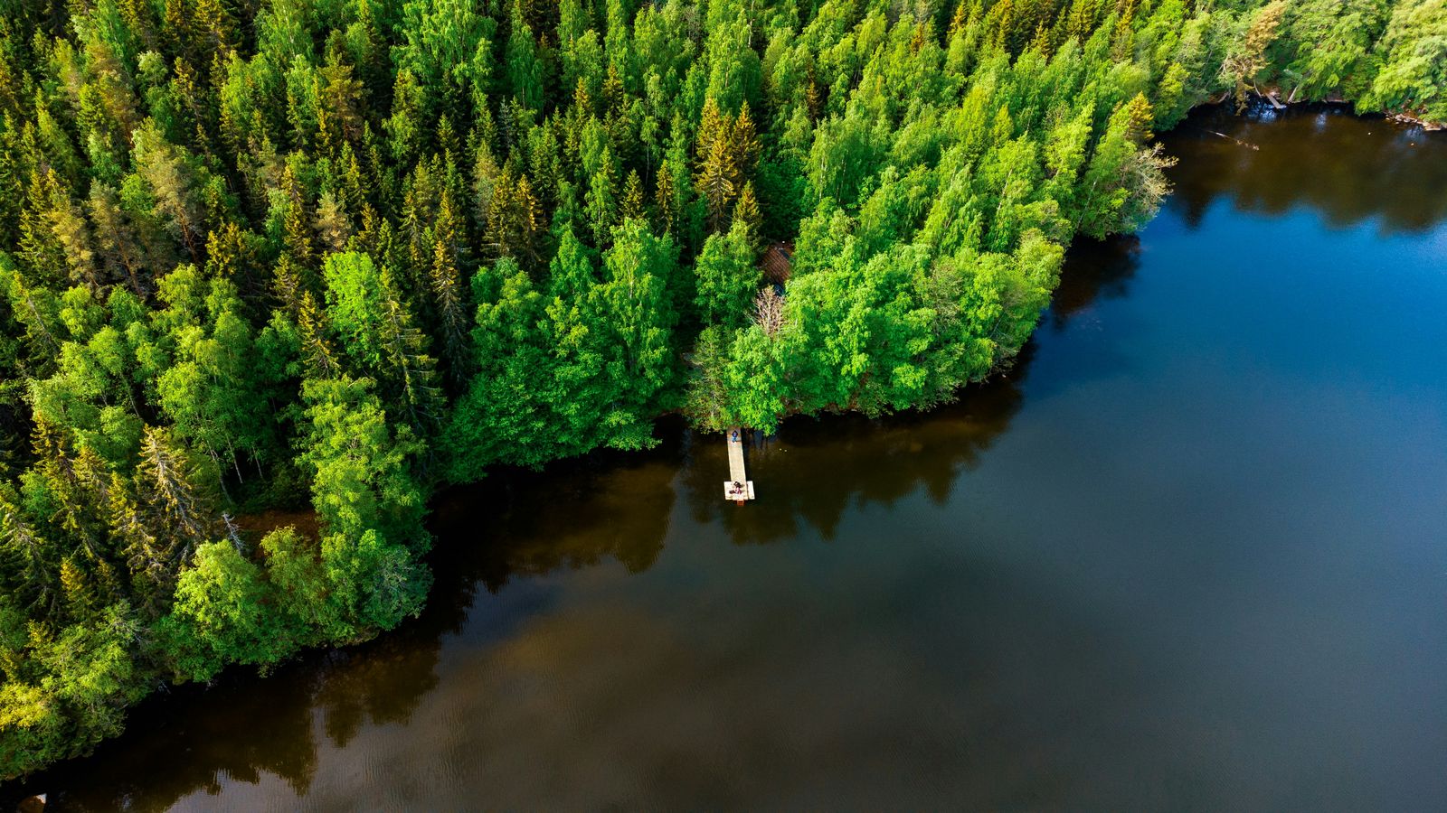 shepherd on Unsplash