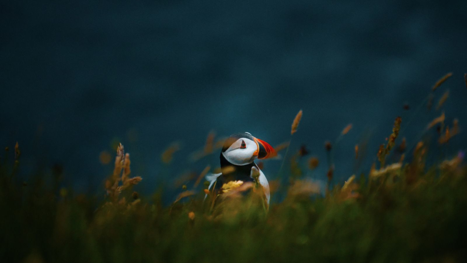 Tom Swinnen on Unsplash