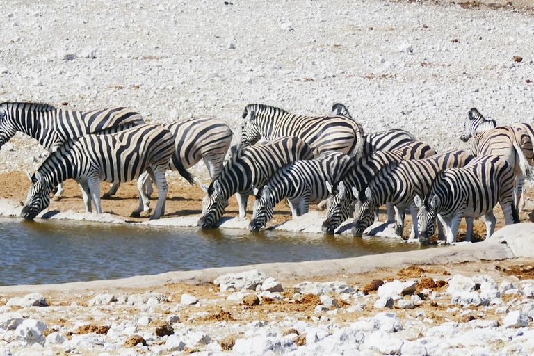 Parc national d'Etosha
