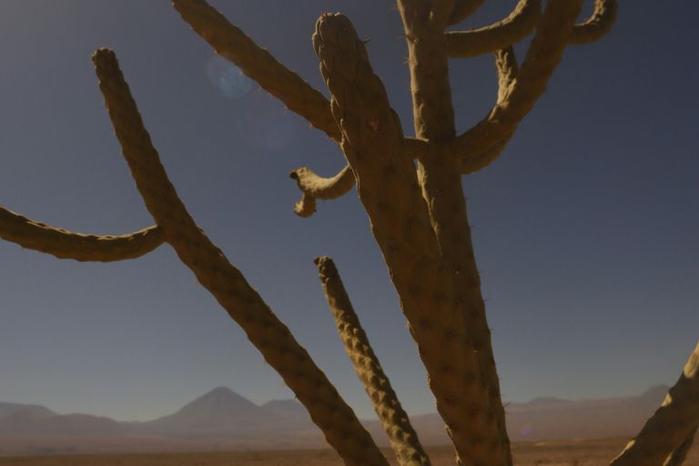 San Pedro de Atacama