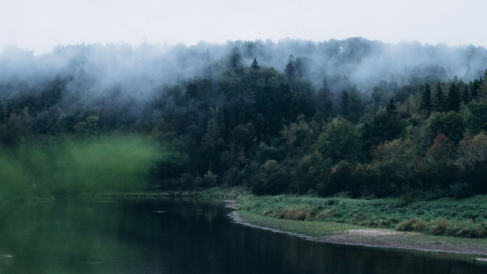 Anna Kovaļova on Unsplash