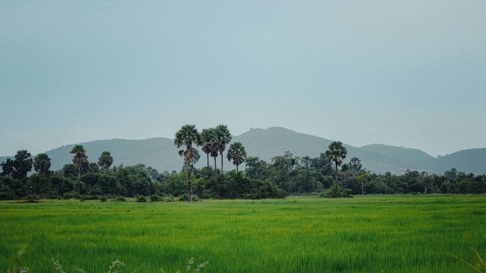 Sidara Keo on Unsplash