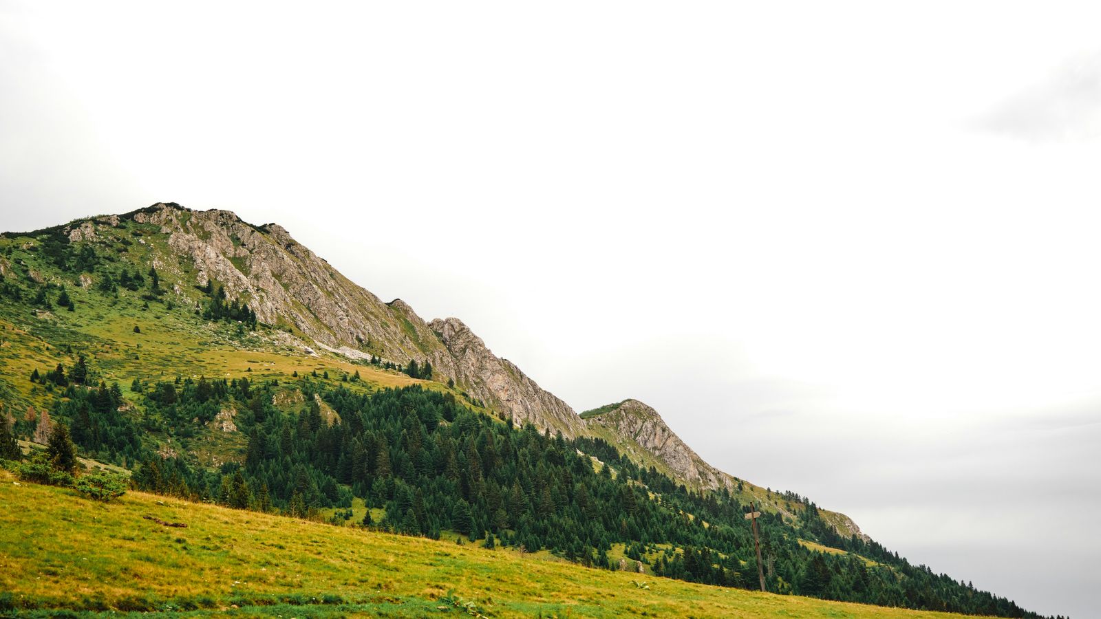 Adam Hornyak on Unsplash