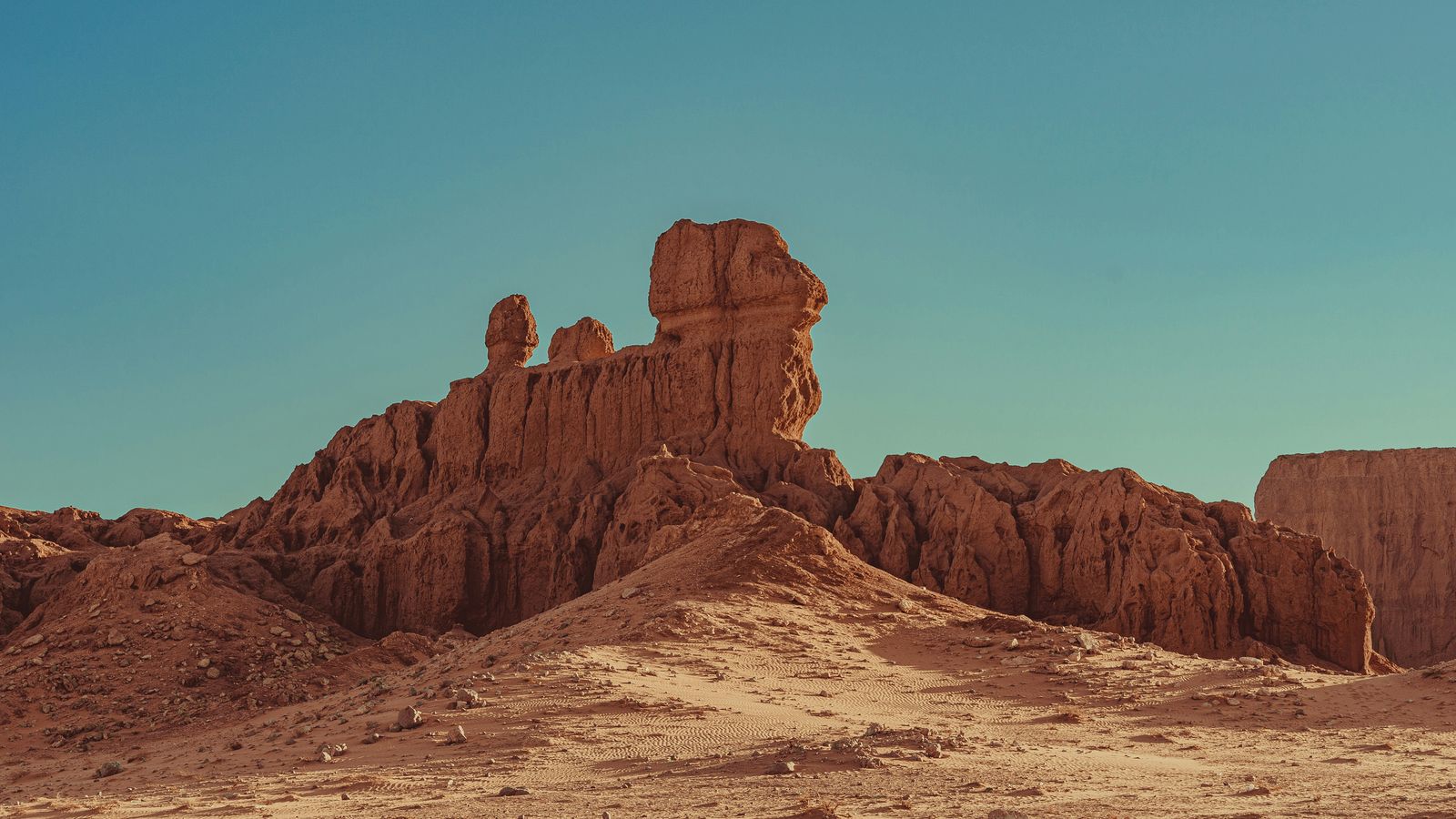 Tahiro Achoub on Unsplash