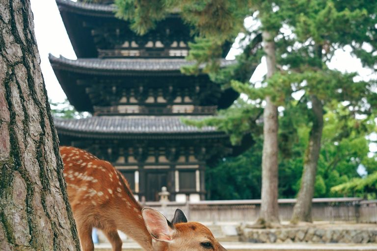 Nara