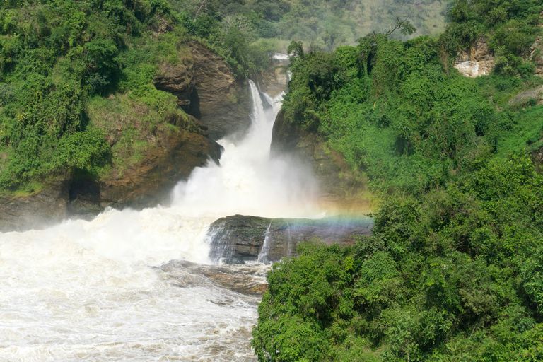 Chutes de Murchison