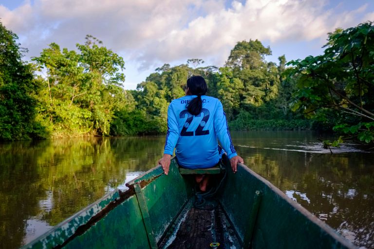 Amazonie équatorienne (Tena / Napo)