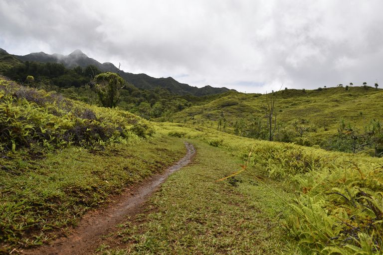 Îles Marquises (Nuku Hiva)