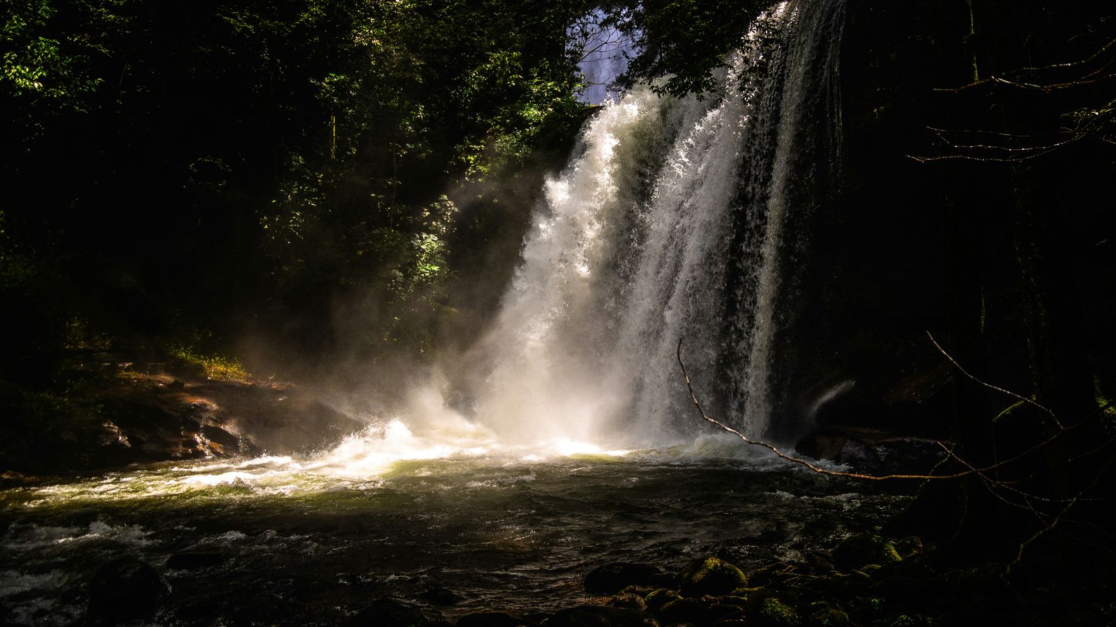 Michael Starkie on Unsplash