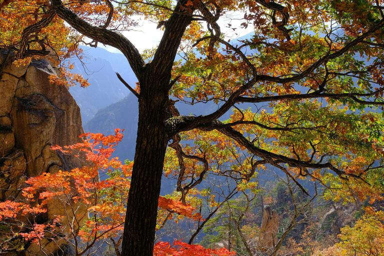 Parc national de Seoraksan