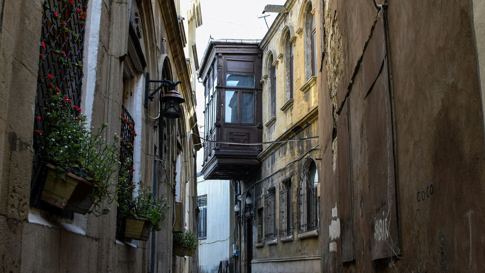 Adil Sattarov on Unsplash