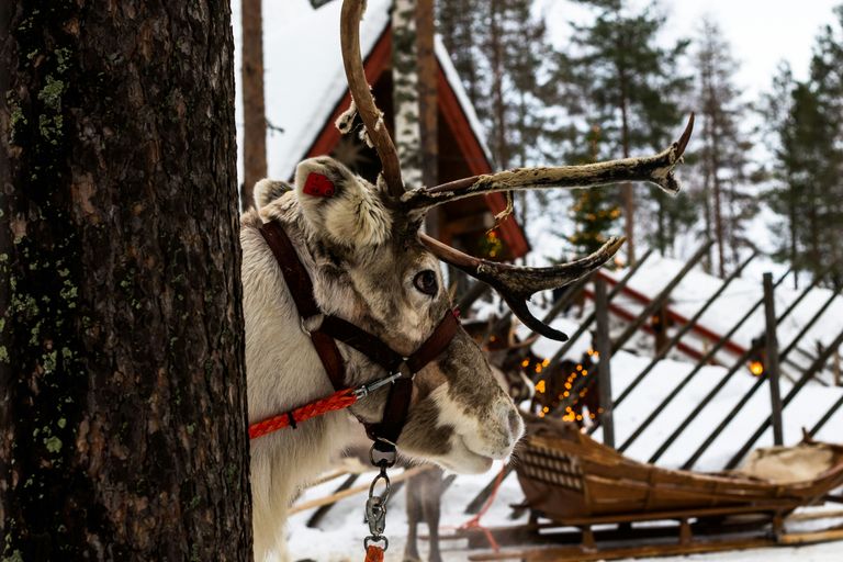 Rovaniemi