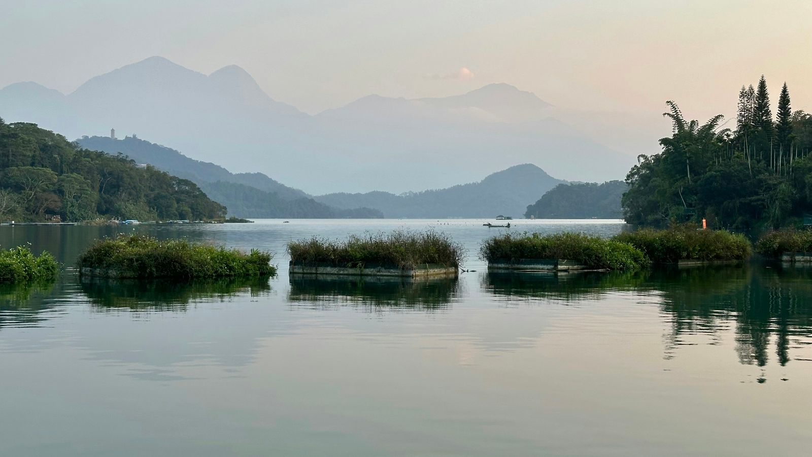 Nica Lorber on Unsplash