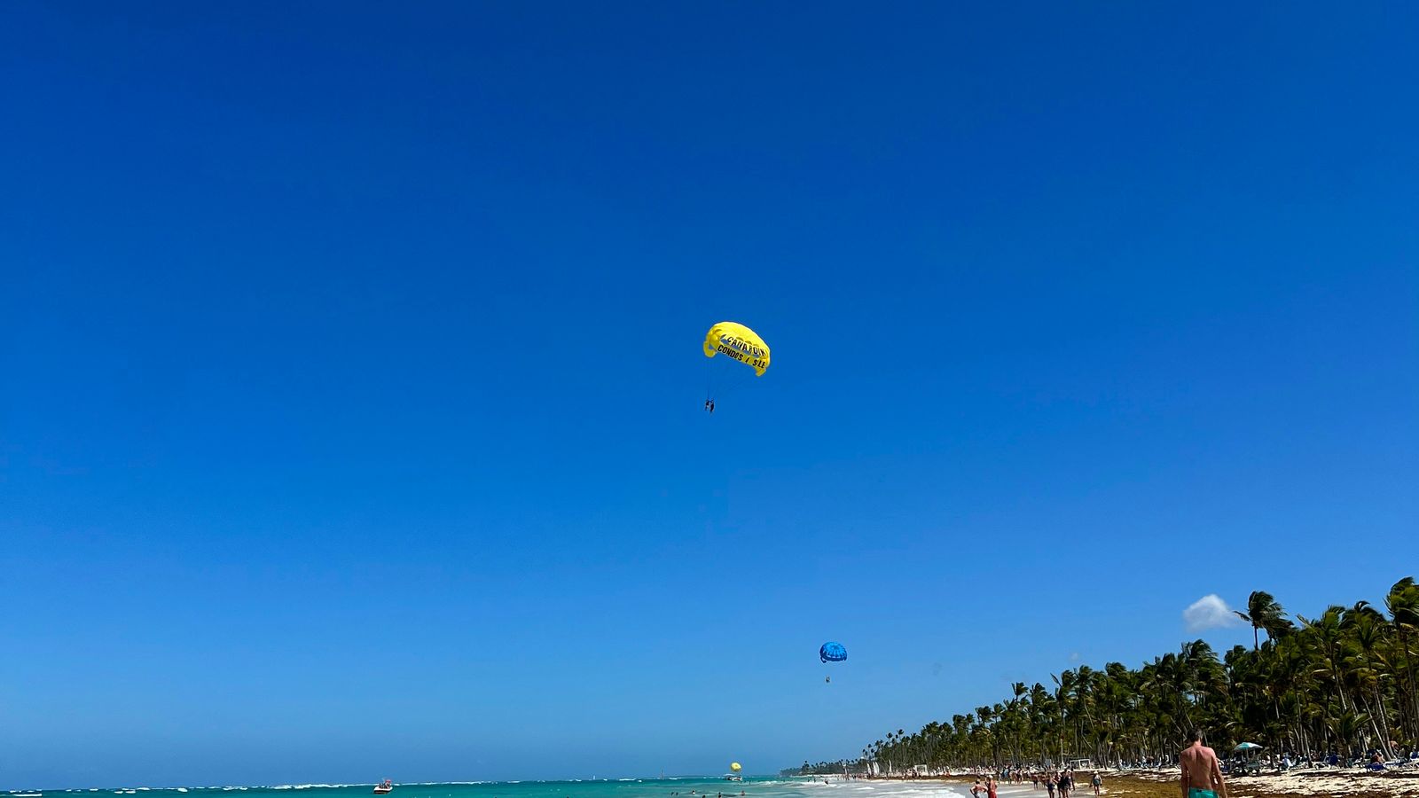 Ozy O on Unsplash