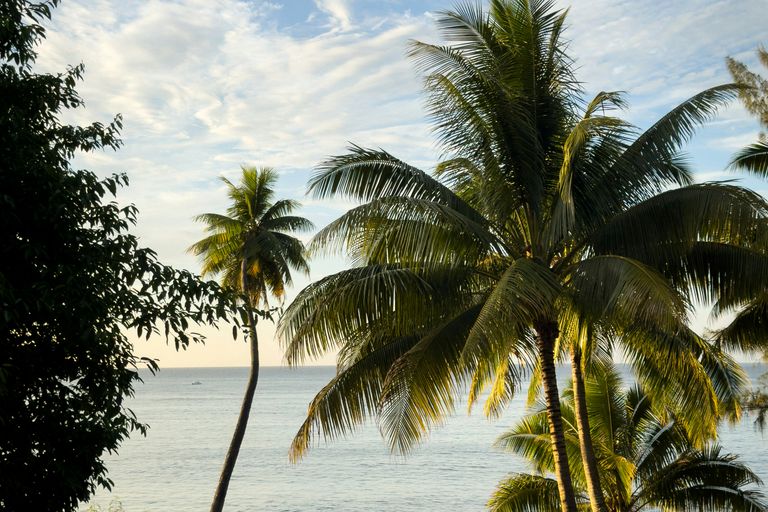 Tahiti (Papeete)
