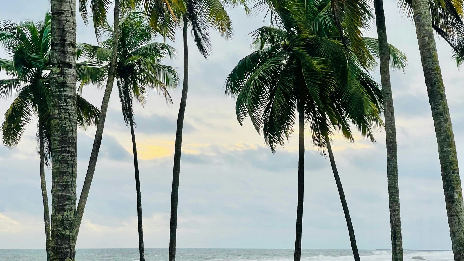 Jacob Kpehe on Unsplash