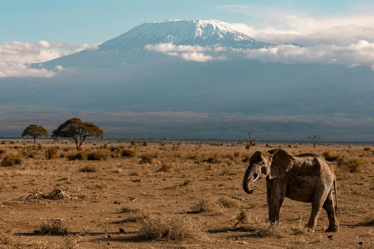 Amboseli