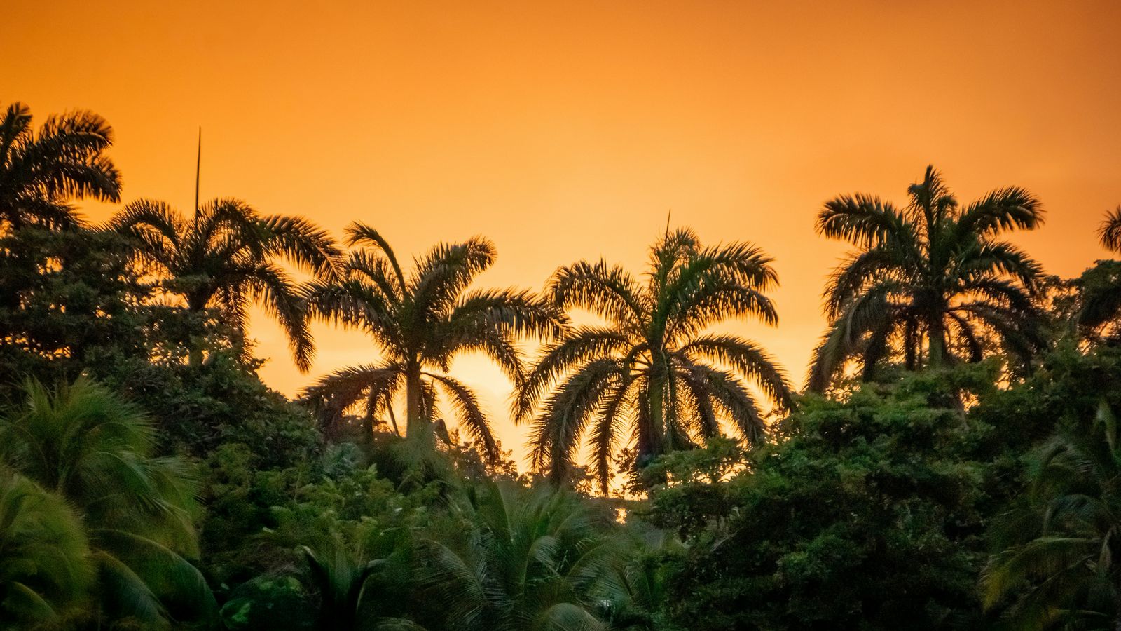 Clay LeConey on Unsplash