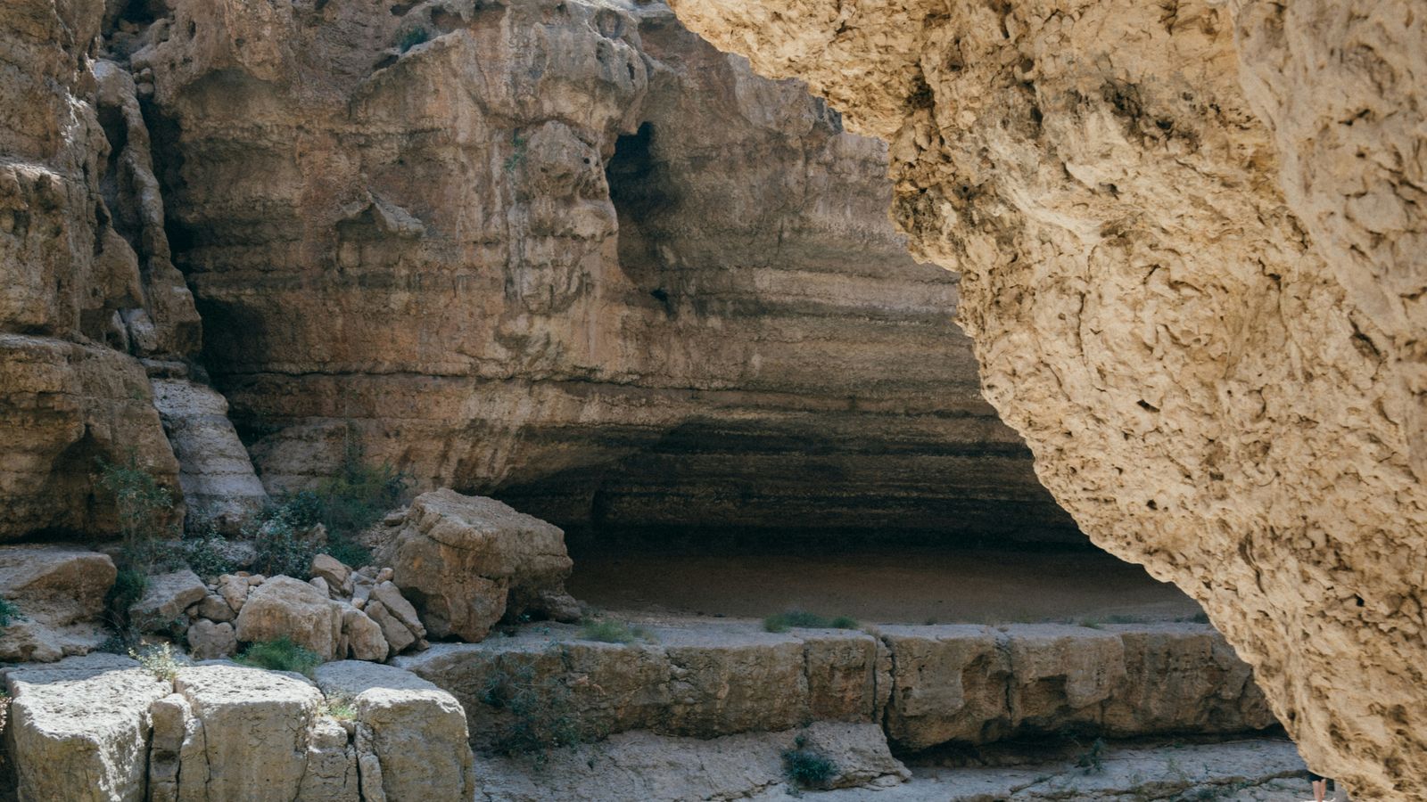 Albert Canite on Unsplash
