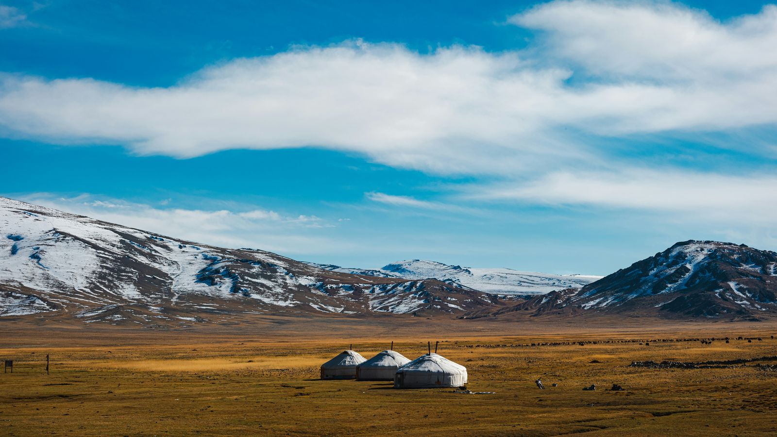 Fadhil Abhimantra on Unsplash