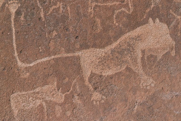 Damaraland
