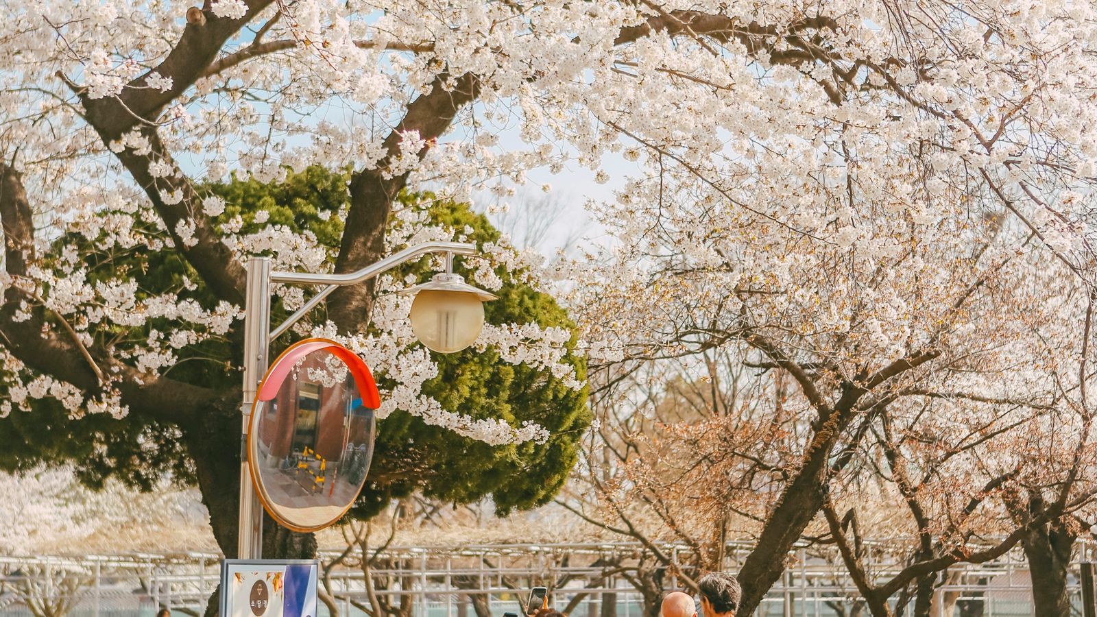 HANVIN CHEONG on Unsplash