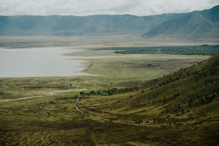 Ngorongoro