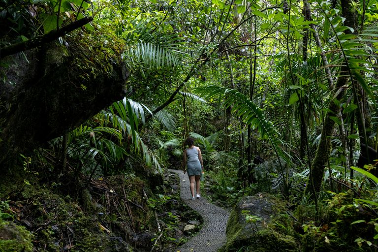El Yunque