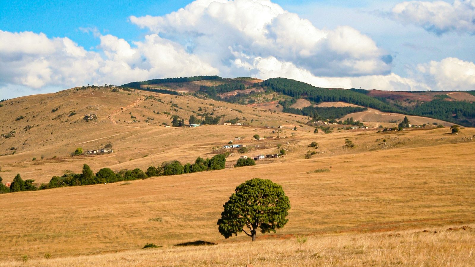 Eswatini Photography on Unsplash