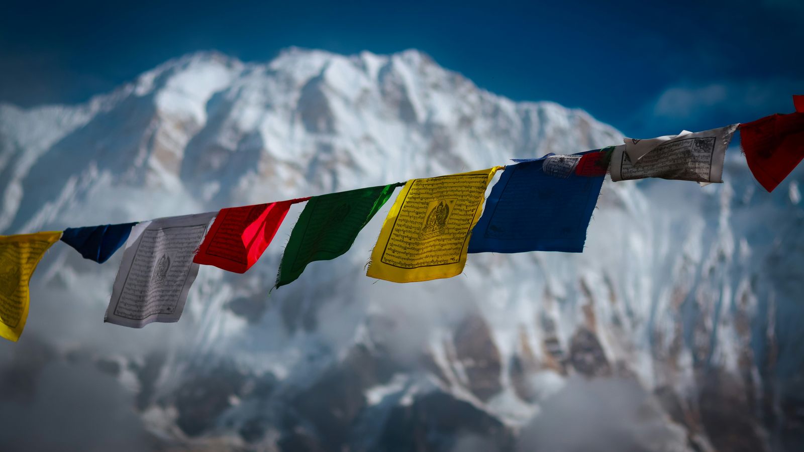 Geetangey on Unsplash