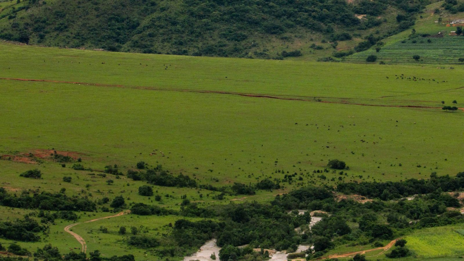 Eswatini Photography on Unsplash