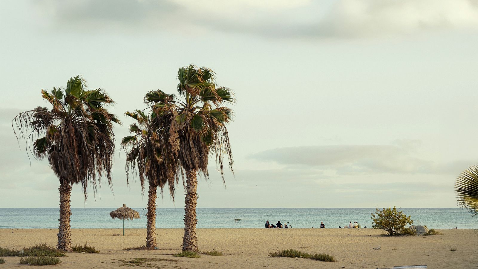 Andrea Giardini on Unsplash