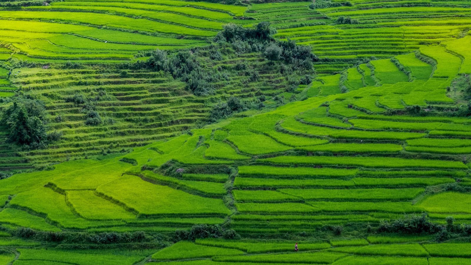 Sushanta Rokka on Unsplash