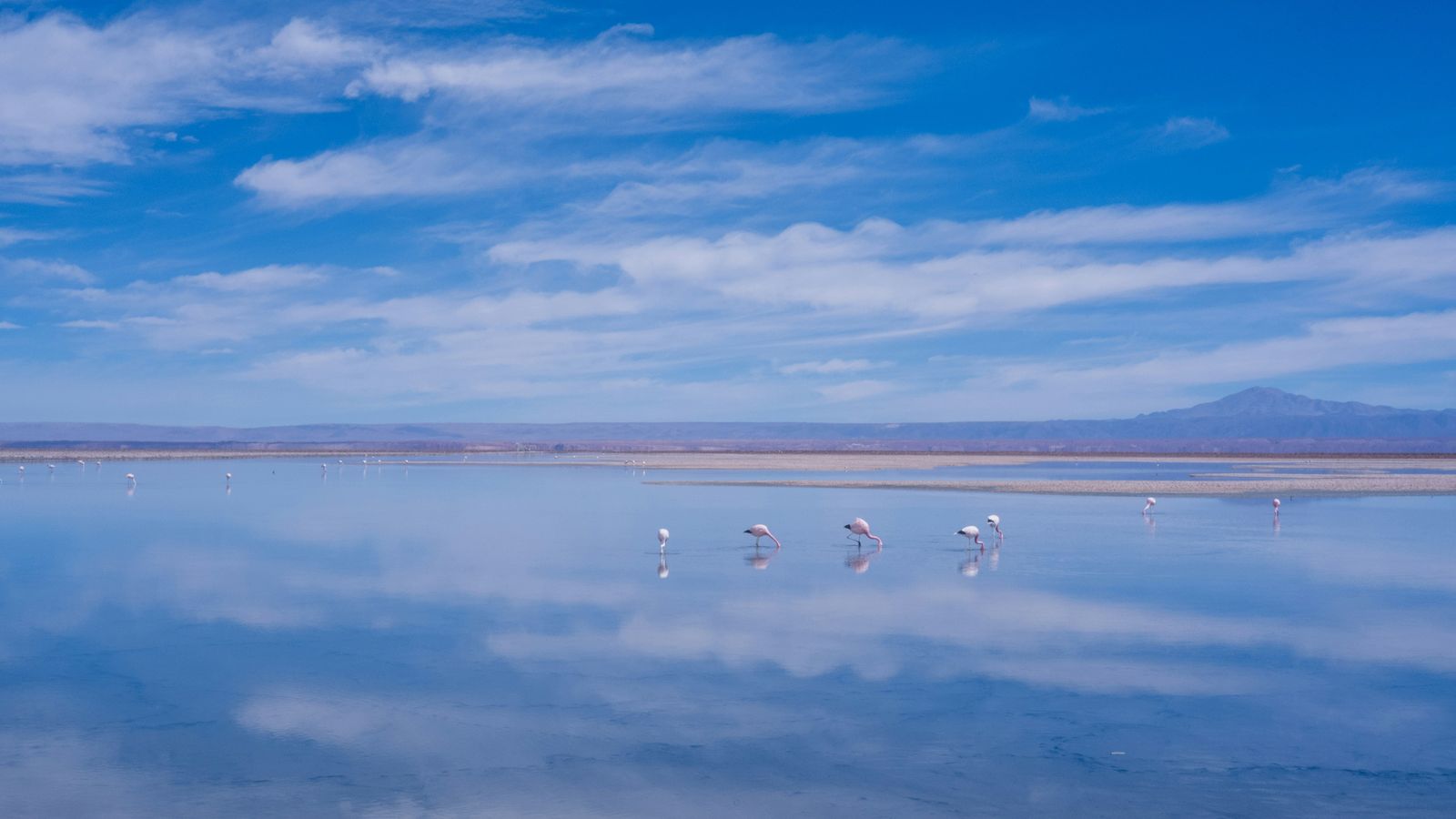 Daniel Vargas on Unsplash