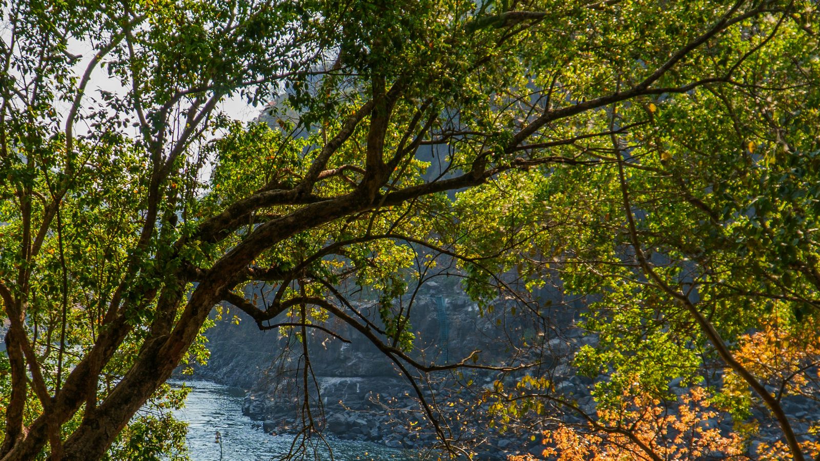Ed Wingate on Unsplash