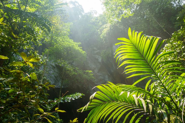 Parc national de Sapo
